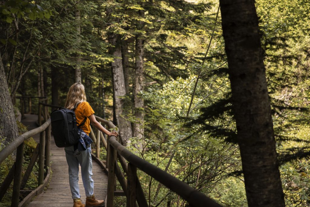 8 sorties nature gratuites pour découvrir l’eau, le climat et la biodiversité