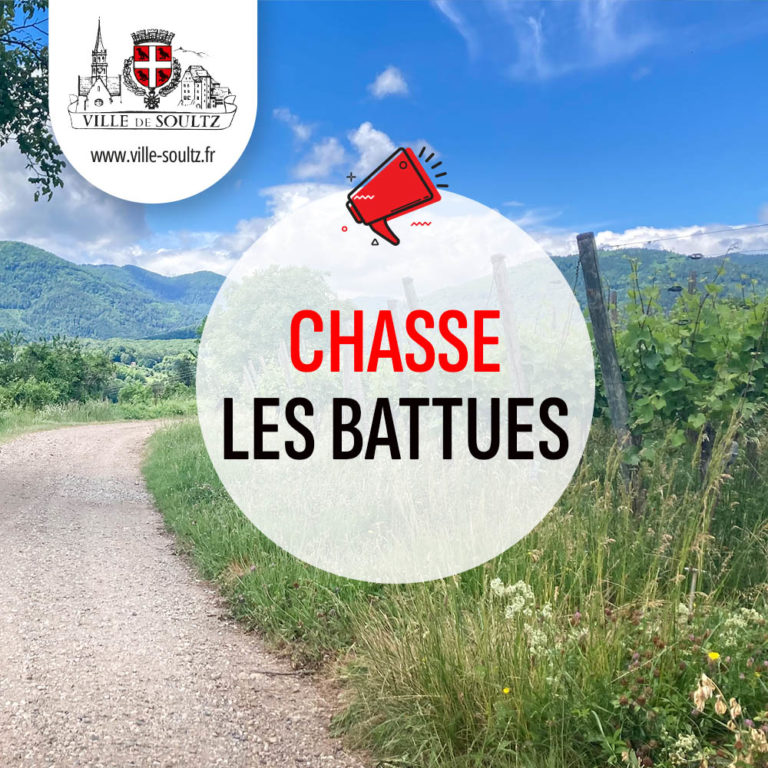 Information aux habitants : Calendrier des battues de chasse – Saison 2025-2026