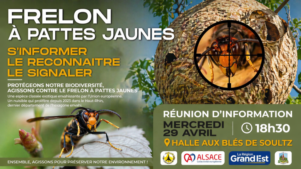 Réunion d&rsquo;information sur le frelon – 29/04