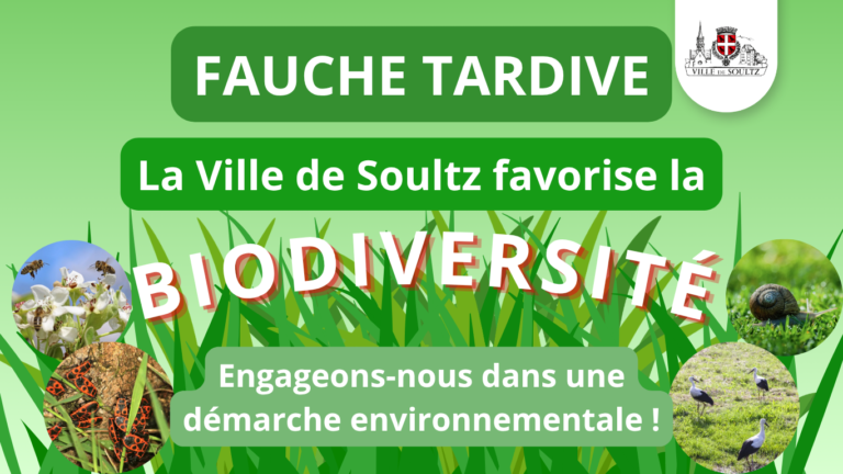 Fauche tardive – Soultz favorise la biodiversité !